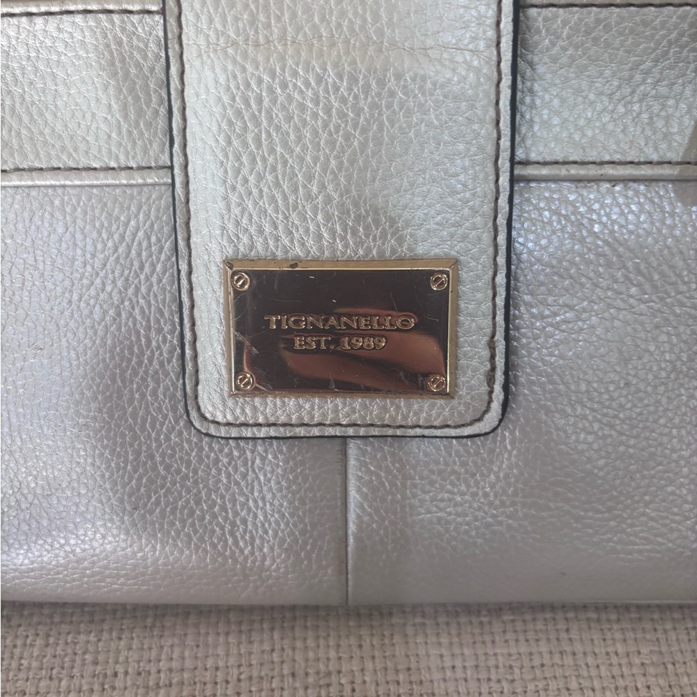 Tignanello Metallic Silver Shoulder Bag